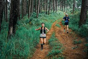 BIB: 
                            <button type="button" onclick="openModal(25701860)" class="btn btn-primary btn-sm float-right btn-popup" data-toggle="modal" data-target=".modal-high-quality">
                        <i class="fas fa-shopping-cart"></i> Add to Cart
                    </button>
                                            <button type="button" onclick="isThisMe(25701860, true)" class="btn btn-success btn-sm float-right btn-popup btn-isme hidden" data-toggle="tooltip" data-placement="bottom" title="นี่คือรูปของคุณใช่ไหม คลิกที่นี่เพื่อเอาเข้าอัลบั้ม">
                        <i class="fas fa-plus"></i> Add to album
                    </button>
                    <button type="button" onclick="isThisMe(25701860, false)" class="btn btn-warning btn-sm float-right btn-popup btn-isnotme hidden">
                        <i class="fas fa-ban"></i> Remove from album
                    </button>